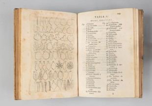 Exposición sobre ilustración botánica en la Universitat de València