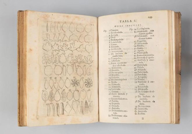 Exposición sobre ilustración botánica en la Universitat de València