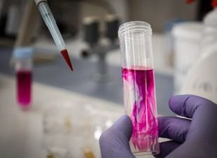 Abre la convocatoria para el concurso de fotografía científica en redes sociales de la URV