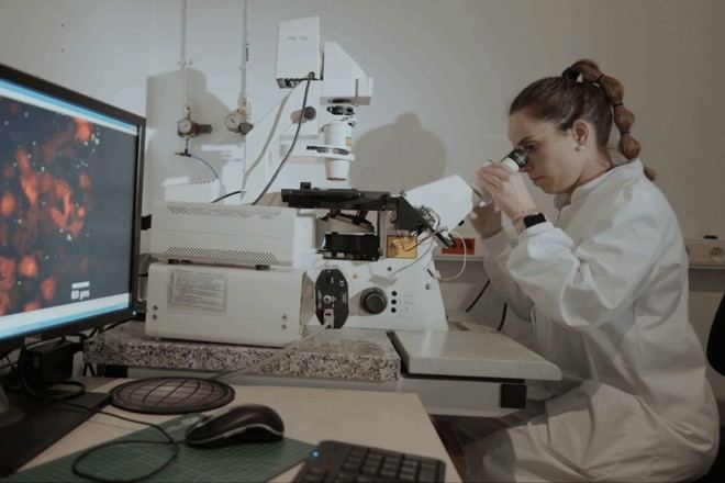 Cifras récord para los Centros Tecnológicos en 2024: más de 917 M€ en ingresos y 29.000 empresas atendidas