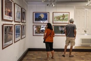 Exposición de fotografía sobre la fauna salvaje china en San Lorenzo de El Escorial