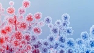 Los hongos existieron en la Tierra mucho antes de lo que se creía