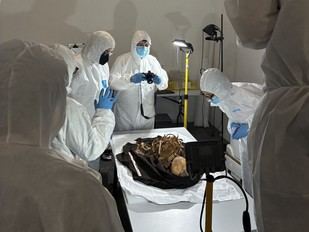 Hallazgos en el monasterio de Pedralbes revelan secretos sobre salud y prácticas funerarias medievales