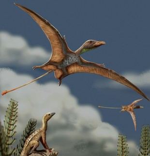 Evolución cerebral distinta en pterosaurios y aves para el vuelo