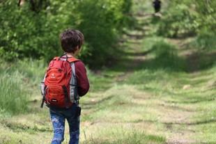 Los probióticos pueden disminuir la hiperactividad en niños con autismo o TDAH