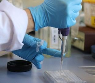 La Universidad de Alicante celebra diez años de sus Servicios Técnicos de Investigación