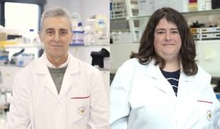 Investigadores de la CEU UCH descubren que los virus pueden comunicarse entre sí