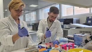Crean startup para diagnóstico de cáncer de vejiga con tecnología no invasiva