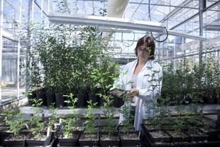La UJI incrementa en un 11% la captación de fondos para proyectos de investigación en 2024