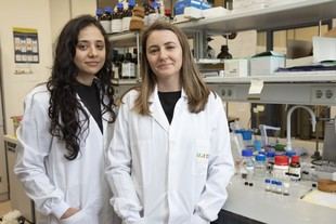 Desarrollan un nuevo material para convertir CO? en productos químicos de alto valor