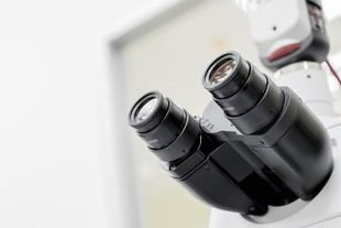 Universidad de Pisa lidera proyecto europeo SHIELD contra cánceres infecciosos