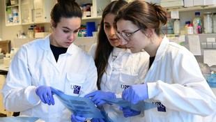 Más de 100 expertos se reúnen en el Workshop Anual del CiMUS de la USC