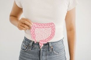 Descubren el papel de una bacteria intestinal en el tratamiento de enfermedades inflamatorias crónicas