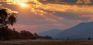 Malaria influyó en la distribución de los primeros humanos en África