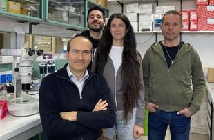 Financian investigación sobre el gen PRR12 en la Universidad de Pisa