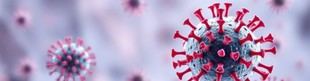 Estudio revela el impacto del metapneumovirus en ancianos italianos
