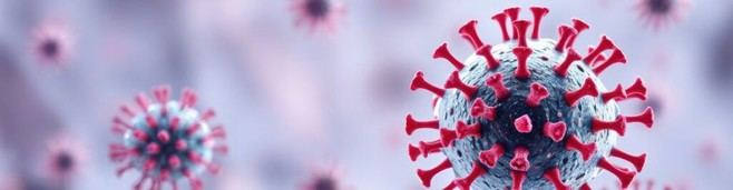Estudio revela el impacto del metapneumovirus en ancianos italianos