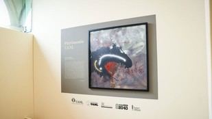 Manel Pujol Baladas contribuye al patrimonio cultural de la UANL