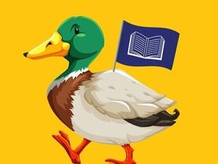 Lanzan plataforma digital para facilitar el acceso a oportunidades para jóvenes en Portugal