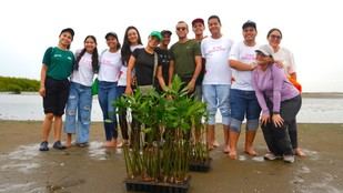 Universidad del Norte y más de 80 voluntarios siembran 335 manglares en la Ciénaga de Mallorquín