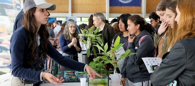 Siete de cada diez becarios de la UBA eligen continuar sus estudios