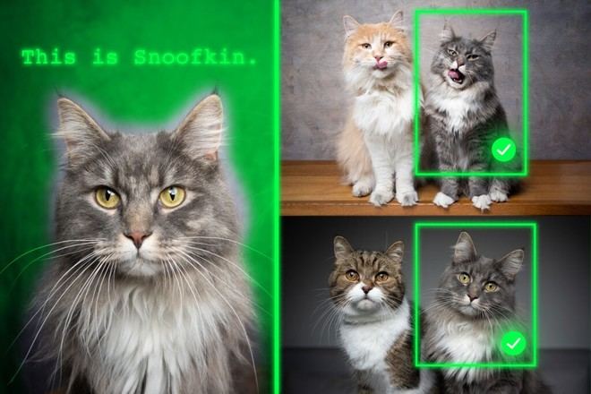 Nuevo método mejora la localización de objetos personalizados en modelos de IA generativa