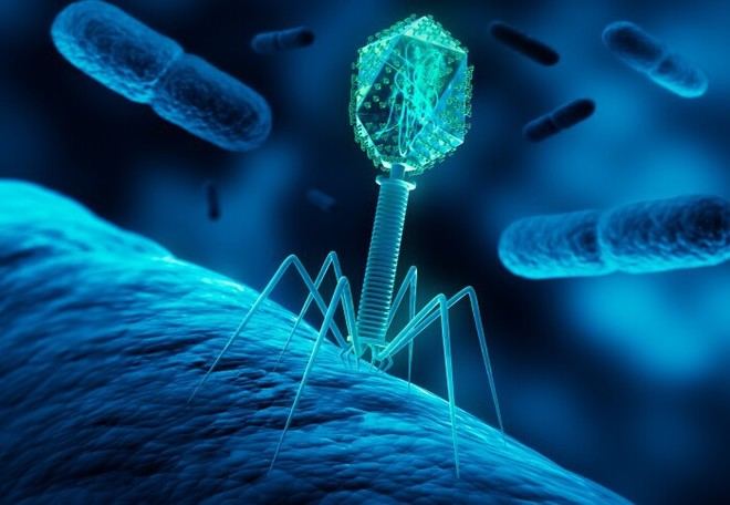 Descubren cómo la 'piratería microbiana' podría combatir infecciones resistentes a medicamentos