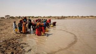 Estudio revela el impacto de la escasez de agua en las migraciones en Somalia