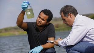 Uninorte logra 74% de sus grupos en categoría A1 según MinCiencias