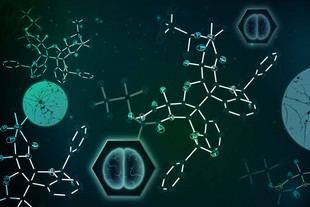 Químicos del MIT sintetizan un compuesto fúngico prometedor para el tratamiento del cáncer cerebral