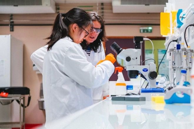 Fondos Globales del MIT impulsan la investigación en más de 20 países