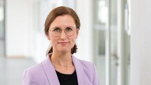 Teoría política para innovar en democracia