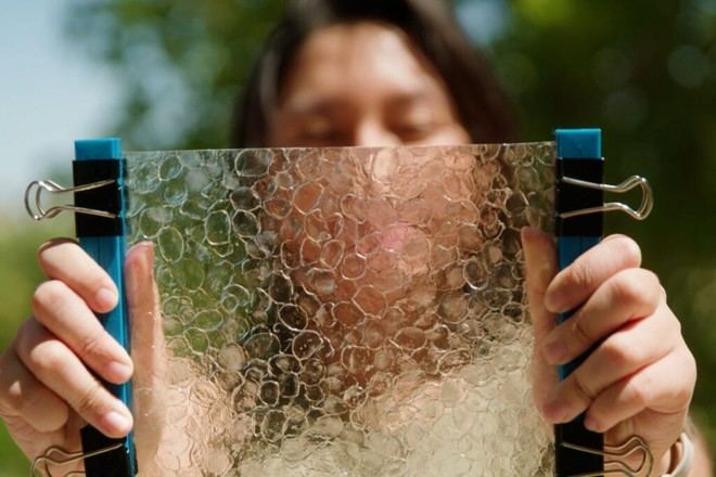 Estudiante del MIT convierte desechos de la industria pesquera en plástico biodegradable