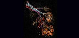 Nuevo mapa detalla cambios en el tejido mamario y su relación con la menopausia y el cáncer