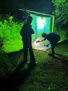 Safari nocturno en Hocking Hills: una experiencia única con polillas y colibríes
