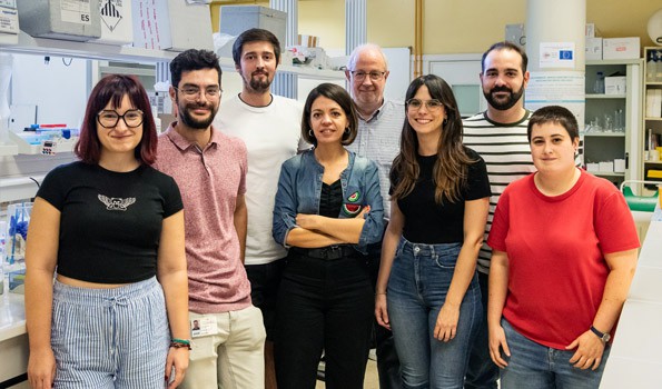 Nanopartículas innovadoras para combatir el cáncer