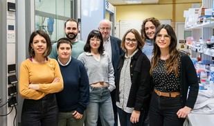 Nanopartículas innovadoras para combatir el cáncer