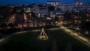 Inauguración de la Árvore Comunitária en la U.Porto el 9 de diciembre