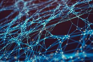 El cerebro envía señales específicas a neuronas durante el aprendizaje