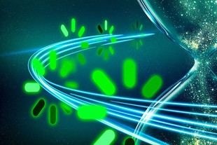 Nuevo método duplica la eficiencia en el entrenamiento de modelos de lenguaje grande