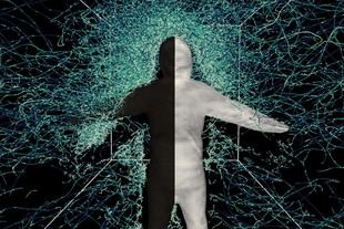 Nuevo modelo predice el vuelo de los mosquitos