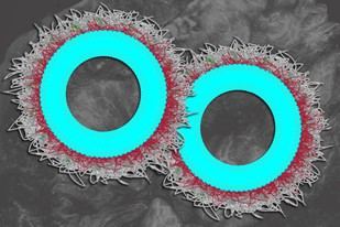 Nuevas nanopartículas estimulan el sistema inmunológico para combatir tumores ováricos