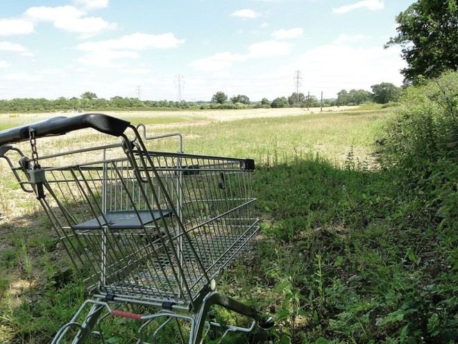 Abandonar un carrito de compras tiene un impacto ambiental mayor del que se cree