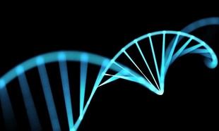 Polímeros autoensamblables mejoran la entrega de genes