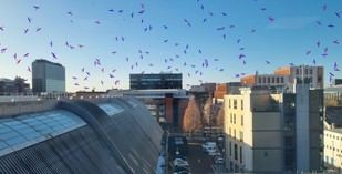 Desarrollan herramienta para reducir el riesgo de colisiones en satélites de observación terrestre