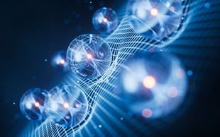 Nina Hadis Amini, pionera en el control de sistemas cuánticos a través de las matemáticas