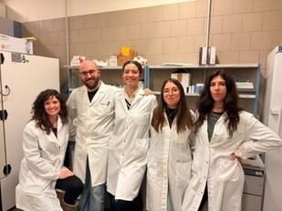 Descubren el papel del succinato en los beneficios del ayuno intermitente para la salud cerebral