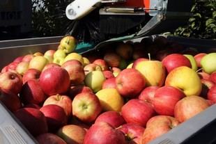 Nuevo máster en marketing y emprendimiento agroalimentario en Campus Iberus