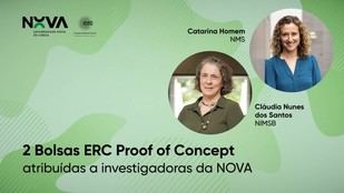 NOVA de Lisboa recibe dos becas ERC para investigar terapias neurológicas
