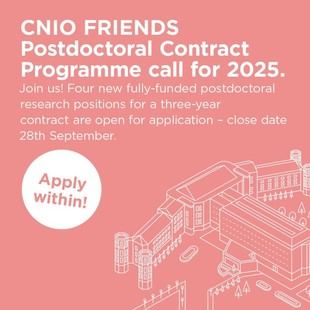 Convocatoria para contratos postdoctorales en el CNIO